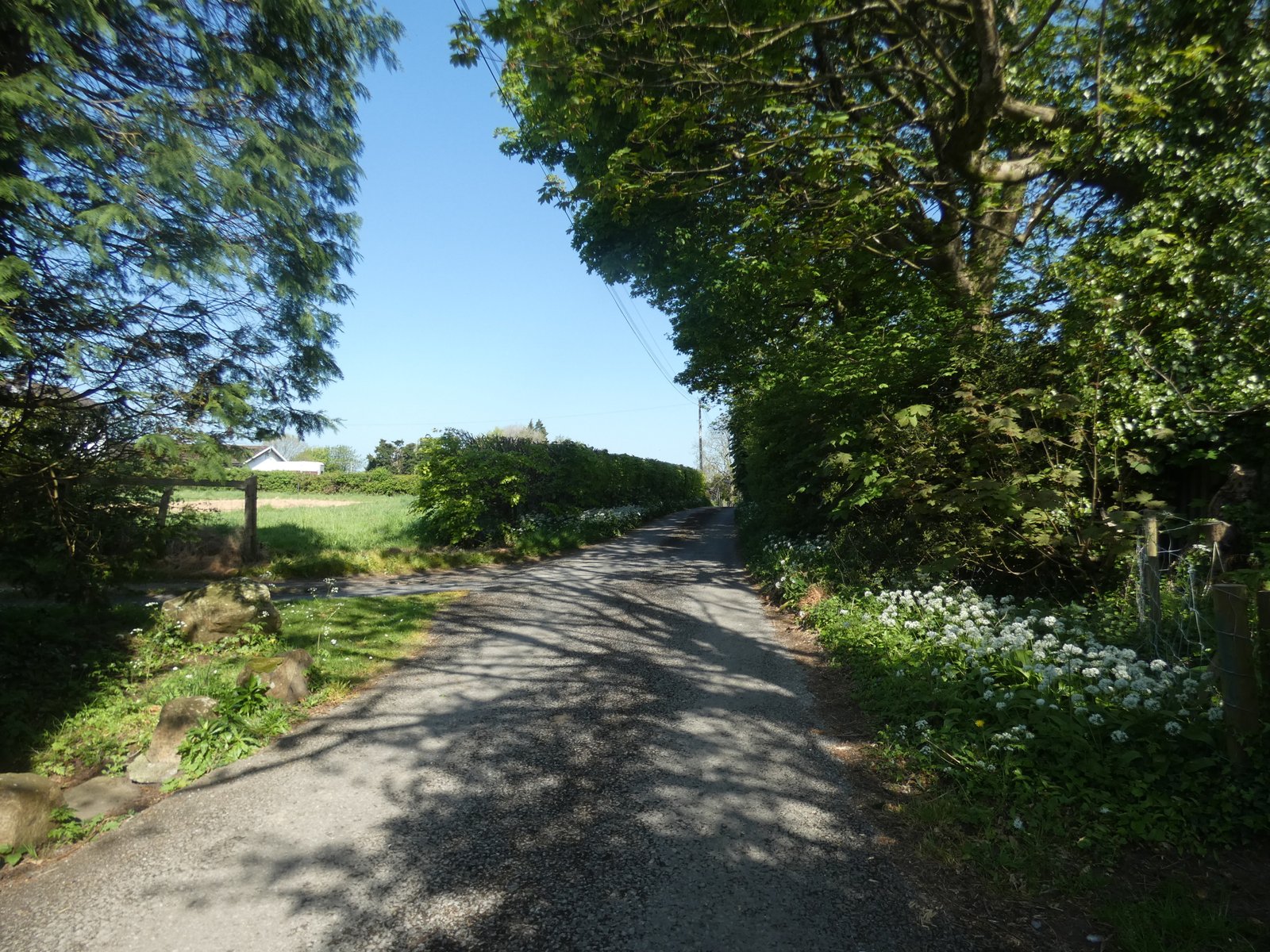 P1070128 Herberts Lodge – Elegant Historical Home with Private Grounds (To Let)